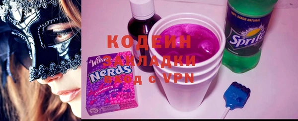 хмурый Богородицк