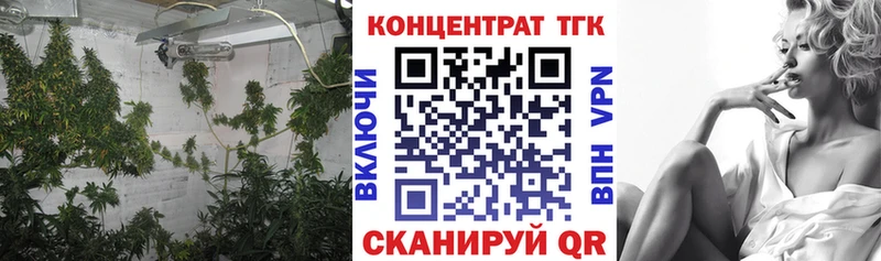 ТГК концентрат  Кингисепп 